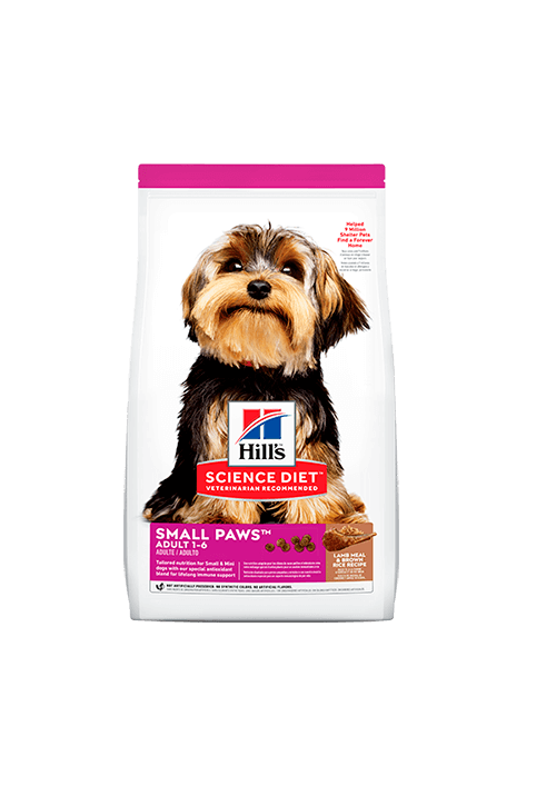 HILLS SMALL PAWS ADULT 1-6 CORDERO X 4.5 LB