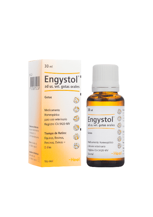 ENGYSTOL GOTAS X 30 ML